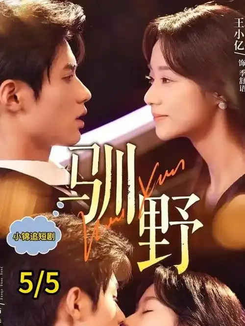 长街灯火 海报